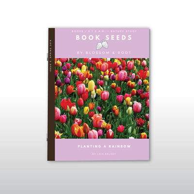 Spring Book Seed 02: Planting a Rainbow